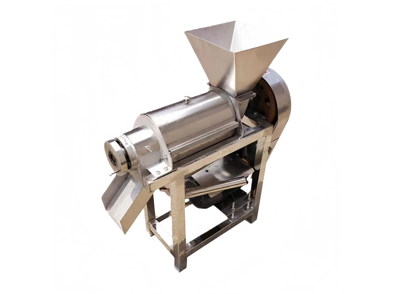 DJ1 Stainless Steel Fruit & Vegetable Juicer|Pulper Machine